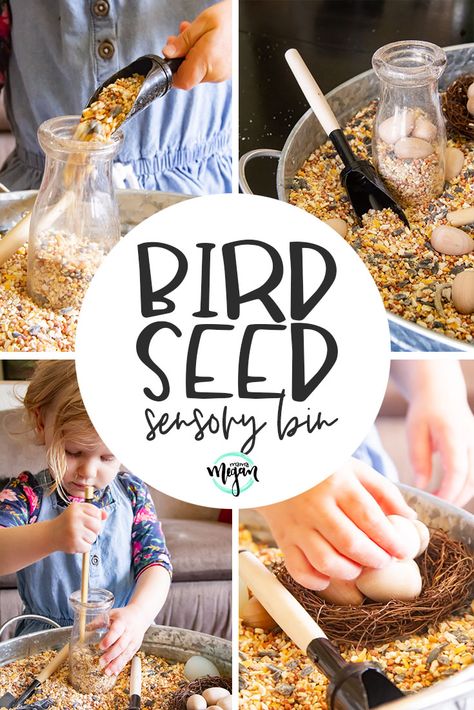 A birdseed sensory bin is a great springtime toddler invitation to explore Animal Sensory Bin Preschool, Pets Sensory Bin, Bird Sensory Activities, Pet Sensory Bin, Seed Sensory Bin, Bird Sensory Bin, Rice Cupcakes, Spring Sensory Bin, Preschool Pets