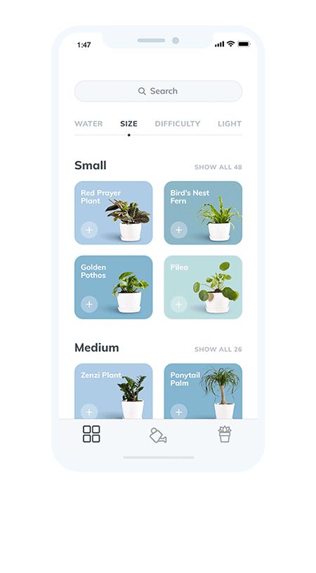 Clean App Design, Plant App Design, App Page Design, Mobile Design Layout, Creative App Design, App Design Trends, Plant Identification App, Mobile App Inspiration, Plant App