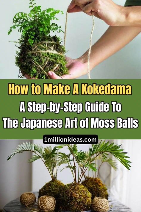 How to Make A Kokedama: A Step-by-Step Guide To The Japanese Art of Moss Balls - 60 How To Make Kokedama, How To Make A Kokedama Ball, How To Make Kokedama Balls, Kokodema Diy, Moss Crafts, Kokedama Diy, Japanese Moss Balls, Small Flowering Plants, Types Of Moss