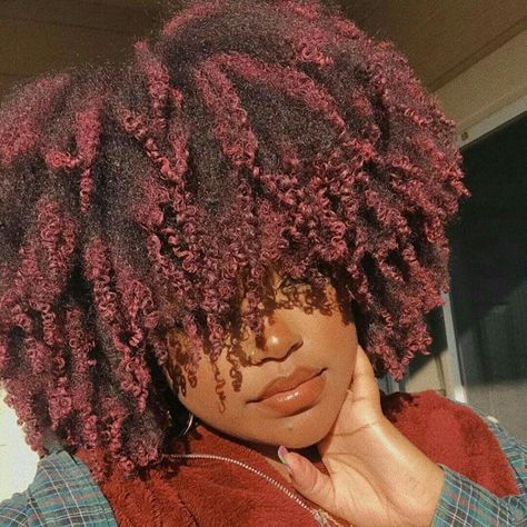 Afro Hair Dye, Red Afro, Magenta Hair, Hair Color Burgundy, Dark Red Hair, Bright Red Hair, Natural Afro Hairstyles, Pelo Afro, Dyed Natural Hair