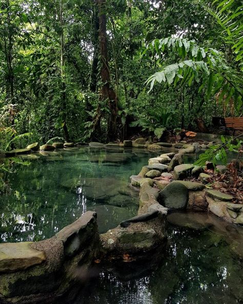 Jungle Hot Springs - Costa Rica Tropical Adventures Costa Rica Forest, Costa Rica Monteverde, Costa Rica Landscape, Vision Mapping, Sunbearer Trials, Aesthetic Costa Rica, Batsy Claro, Costa Rica Hot Springs, Costa Rica Jungle