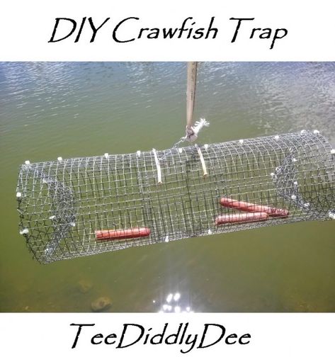 Last summer I decided I wanted to try my hand at catching crawfish. Now when I was a kid I remember my brothers and I snagging these elusive little buggers, one by one out of the lake, with our make-shift fishing poles (which we cleverly made out of sticks and old, used fishing line found on the banks … … Continue reading → Crawfish Traps, Fishing Traps, Bait Trap, Fishing Diy, Fishing Rigs, Fishing Techniques, Fishing Knots, Freshwater Fishing, Catching Fish