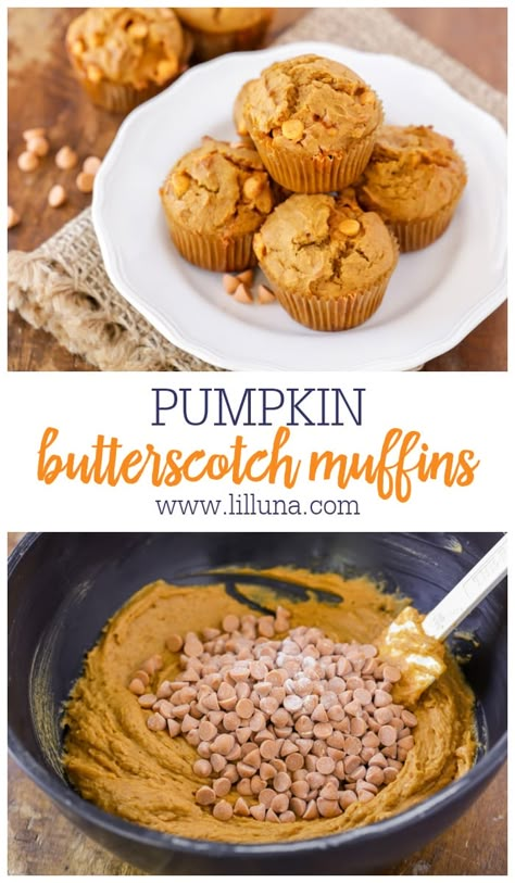 Pumpkin And Butterscotch, Recipes With 1 Cup Of Pumpkin, Butterscotch Chip Muffins, Pumpkin Butterscotch Cake, Butterscotch Pumpkin Muffins, Butterscotch Muffins Recipe, Recipes Using Pumpkin Butter, Pumpkin Butterscotch Muffins, Recipes With Butterscotch Chips