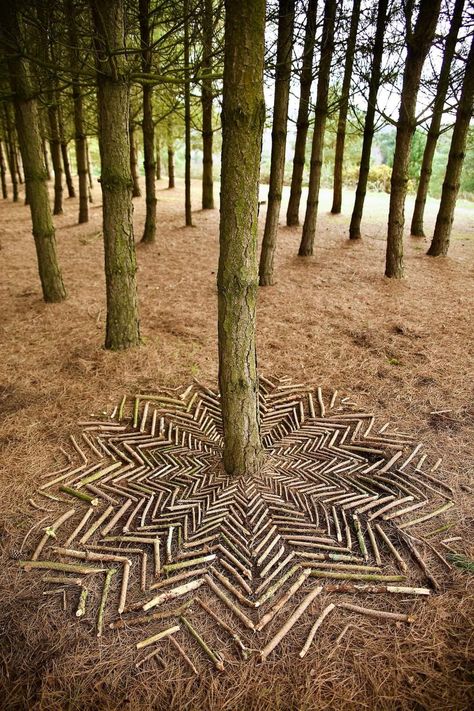 Forest Art Installation, Nature Art Installation, Landart Ideas, Land Art Ideas, Tree Art Installation, Wildlife Garden Ideas, Outdoor Altar, Rock Wall Art, Nature Mandala