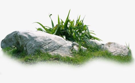 Rumput Png, Nature Painting Images, Rocks Png, Stone Png, Rock Png, Grass Png, Grass Material, Grass Clipart, Jungle Animal Art