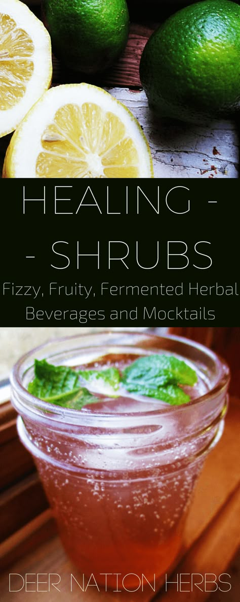 Shrub Drink, Herbal Preparations, Shrub Recipe, Drinking Vinegar, Fermentation Recipes, Soda Recipe, Herbal Drinks, Fermented Drink, Herbal Recipes