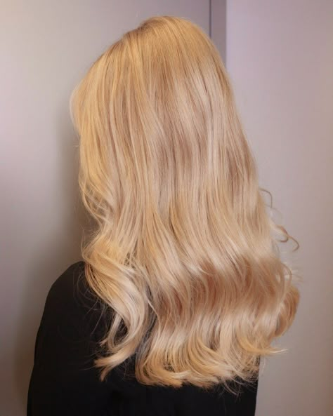 hair colors fall|haire color fall|hair color thinning hair|hair color ideas for blondes Creamy Ashy Blonde Hair, Blonde With Ginger Roots, Blonde Hair For Autumn Skin Tone, Platinum Strawberry Blonde, Pure Blonde Hair, Orange Bleached Hair, Cream Blonde Highlights, Light Strawberry Blonde Hair Color, Light Honey Blonde Hair