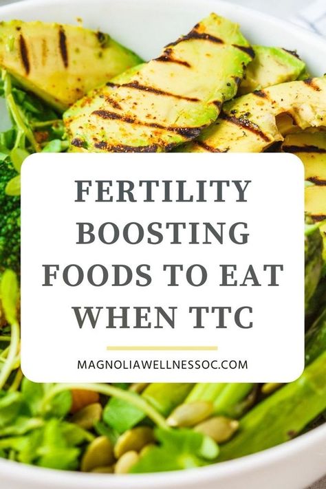 Want to get pregnant quick? Add these fertility super foods to your diet to improve your fertility health. Eating foods that promote fertility when you are trying to conceive can increase egg quality, improve sperm count, balance hormones and boost your chances of IVF success. Magnolia Wellness OC | Natural Fertility, Holistic Health & TCM Foods To Get Pregnant, Ivf Diet, 1200 Calorie Diet Meal Plans, Fertility Smoothie, Fertility Help, Chances Of Pregnancy, Egg Quality, Fertility Foods, Fertility Health