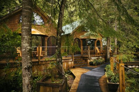 Nimmo Bay Resort, Pnw Vibes, Forest Cabins, Cabin Resort, Lodge Aesthetic, Lodge Ideas, Eco Cabin, Resort Cabins, Wilderness Resort