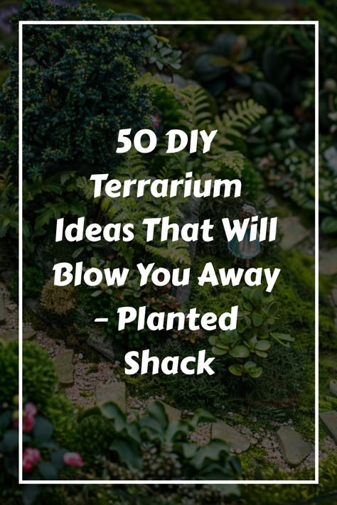 Dresser Terrarium Diy, Crystal Terrarium Diy Fairies Garden, Diy Small Terrarium, Succulent Terrarium Ideas Diy, Building A Terrarium, Closed Terrarium Design, Terrarium Container Ideas, How To Make A Terrarium, Large Terrarium Ideas