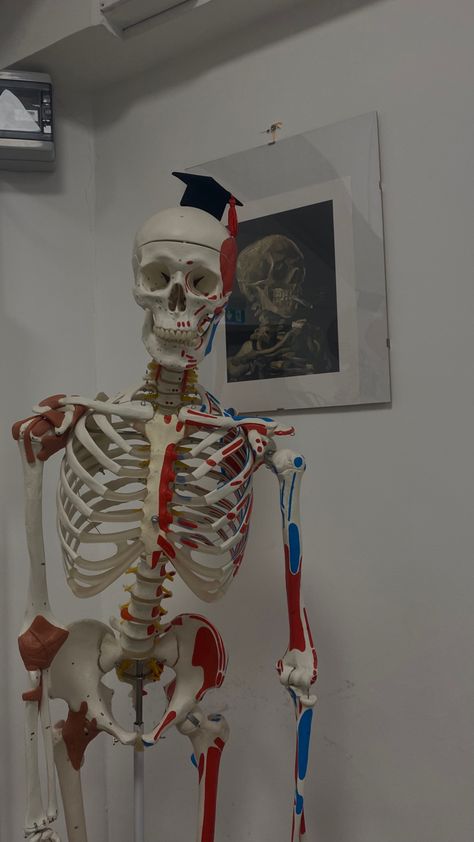 Human Skeleton Aesthetic, Skeleton Pics, Skeleton Body, Uni Style, Best Study Tips, Driving Pictures, Send Money, Cute Couple Images, Minimalist Wallpaper