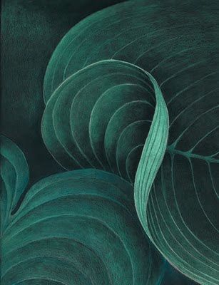 emerald green Colored Pencil On Black Paper, Pencil On Black Paper, Collage Vintage, High School Art, Ap Art, Coloured Pencils, Color Pencil Art, Color Pencil Drawing, Natural Forms