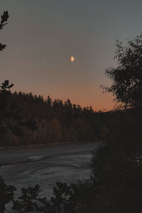 #aesthetic #lake #dark #moon #moodboard Dark Libra Aesthetic, Lake Aesthetics Dark, Libra Mars, Moon Moodboard, Aesthetic Lake, Dark Moon, Dark Academia, Dark Aesthetic, Writing A Book