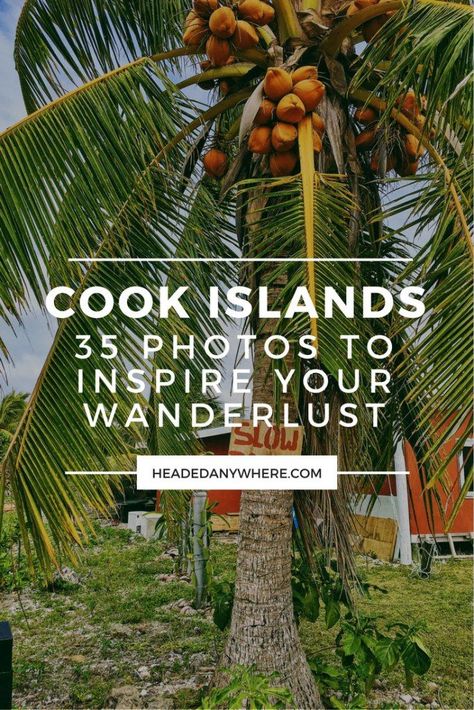 Cooks Island, Tahiti Travel, Cook Island, Fiji Travel, South Pacific Islands, Fiji Islands, Yellow Room, Island Food, Pacific Islands