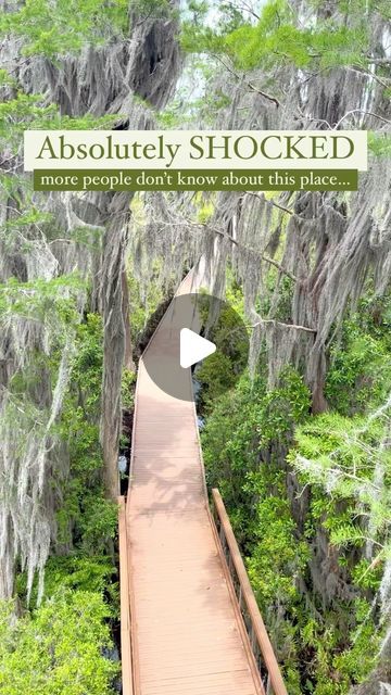 Kayla & Amanda | Travel Blog on Instagram: "This is one of the most underrated destinations in Georgia!

🐊Comment SWAMP for our free mini-guide to the Okefenokee Swamp! 

📍Okefenokee Swamp

This is the largest blackwater swamp in North America AND is easily accessible, so it needs to be on your travel bucket list! 

All the things you can spend the day doing:
⛵️Guided Boat Tour
🎣Fishing
🛶Kayaking or Canoeing
🏕️Camping on an overwater platform
🥾Hiking
🚲Riding Bikes
🦅Bird Watching
& more! 

Who knew you could have so much fun at a swamp??

Tag who you want to visit the swamp with and follow @thestickeredsuitcase for more! 

#exploregeorgia #georgia #hiddengem #outdoorsy #travelreels #wildlifelovers #okefenokeeswamp" Okefenokee Swamp, Riding Bikes, Incredible Places, Boat Tours, Travel Bucket List, Travel Bucket, Bird Watching, Bike Ride, Kayaking