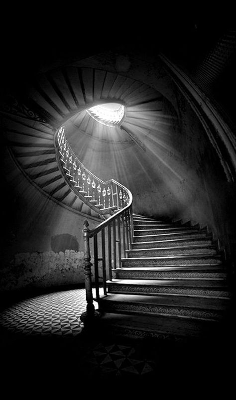 Black and white photography. Charcoal Drawings, Dark Pictures, Foto Art, Spiral Staircase, White Picture, Lens Flare, Dark Photography, Black White Photos, Black And White Pictures