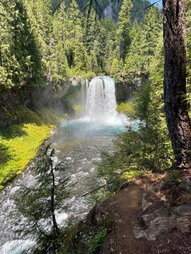 Waterfalls Loop at McKenzie River a summer treat for hikers | Explore Central Oregon | bendbulletin.com Oregon Adventures, River Trail, Lava Flow, Clear Lake, Central Oregon, Forest Service, Mountain Biker, Bike Trails, National Forest