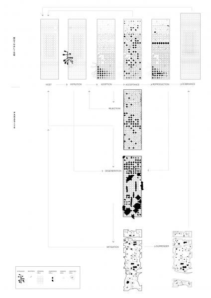 University Presentation, Sp Studio, Landscape Diagram, Presentation Architecture, Aa School, Higher Art, Ib Art, Architecture School, Architecture Mapping