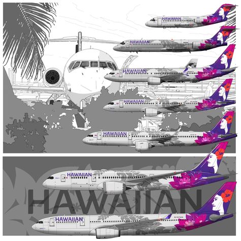 All Airlines, Hawaiian Airlines, Good Vocabulary Words, Good Vocabulary, Air Lines, Aircraft Pictures, Picture Design, Manchester City, Airlines