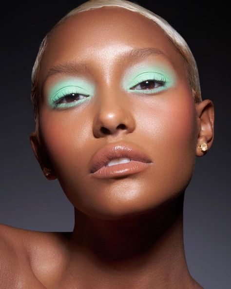 Danessa Myricks Beauty Makeup on Instagram: “Mint💚 What”s your favorite pastel color?🤷🏾‍♀️🙋🏾‍♀️👇🏾 This look: Icy mint eyes and pastel pink cheeks created using Colorfix in “Limesickle…” Pastel Eyeshadow Looks, Pastel Makeup Looks, Pastel Eye Makeup, Beauty Head Shots, Cheeks Makeup, Mint Makeup, Spring Makeup Looks, 2024 Makeup, Bright Pink Lipsticks