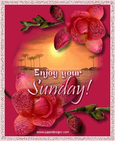 Enjoy Your Sunday love day flowers heart friend blessing days of the week sunday greeting Sunday Gif, Good Morning Sunday Images, Happy Sunday Morning, Sunday Morning Quotes, Sunday Pictures, Sunday Greetings, Sunday Images, Enjoy Your Sunday, Sunday Love