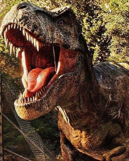 Rexy Jurassic World, T Rex Aesthetic, Rexy Tyrannosaurus, Animal Wallpaper Aesthetic, Dinosaur Jurassic World, Jurassic World Wallpaper, Jurassic World T Rex, Jurassic Park T Rex, Paintings Animals