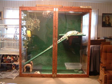 Iguana Enclosure, Elsa House, Iguana Care, Baby Iguana, Lizard Cage, Iguana Cage, Diy Reptile, Bearded Dragon Cage, Diy Bird Toys