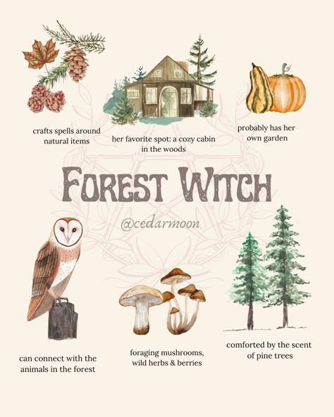 Pagan Aesthetic Nature, Hearth Witch Aesthetic, Witch Core Aesthetic, I Feel Disconnected, Forest Witch Art, Nature Witch Aesthetic, Forest Witchcraft, Forest Witch Aesthetic, Mountain Witch