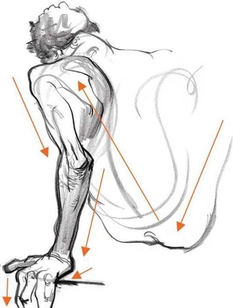 Human Anatomy Drawing, Human Figure Drawing, Human Anatomy Art, Figure Sketching, Gesture Drawing, 캐릭터 드로잉, Arte Sketchbook, Figure Drawing Reference, Anatomy Art