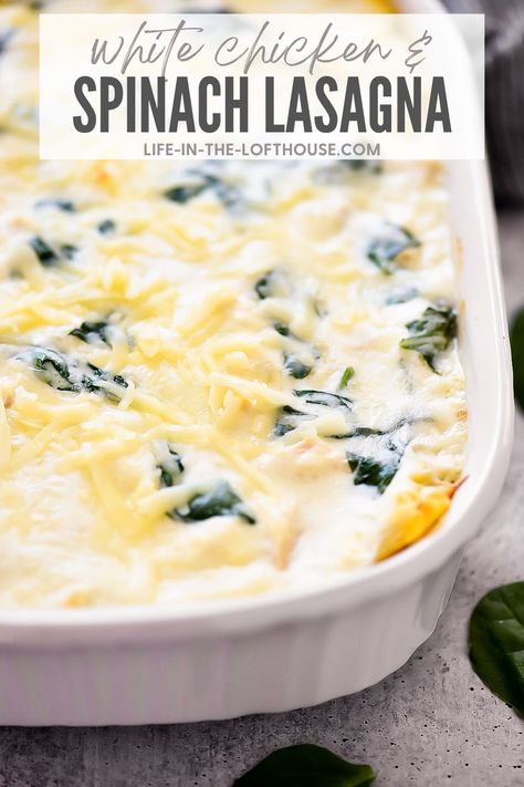 Chicken And Spinach Lasagna, Chicken Spinach Lasagna, Meatless Lasagna, Pizza Pasta Recipe, Chicken Lasagna Recipe, Chicken Alfredo Lasagna, Spinach Alfredo, Baked Lasagna, Cheese Lasagna