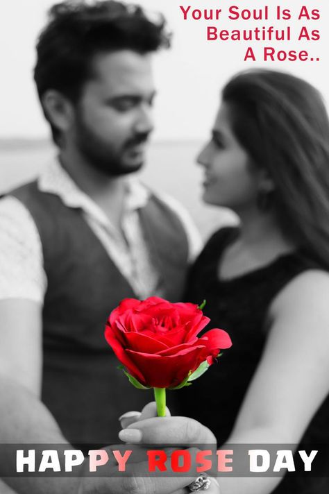 Valentines special 💖 couple shoot romantic moments beautiful couple couple shoot happy rose day Happy Rose Day, Rose Day, Romantic Moments, Valentine Special, Couple Shoot, Beautiful Couple, Valentines, In This Moment, Movie Posters