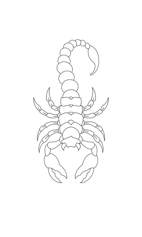 Scorpion Linework, Scorpion Template, Line Scorpion Tattoo, Scorpio Outline, Cow Paintings On Canvas, Cow Paintings, Art To Paint, Grocery Store Design, Scorpion Tattoo