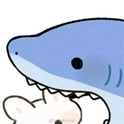 Webarebears Matching Pfp, Coquette Profile, Twin Wallpaper, Anime Shark, Dog Match, Shark Drawing, Fish Icon, Cute Seals, Mouse Drawing