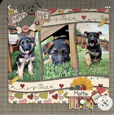 Dog Scrapbook Layouts, Pet Scrapbook Layouts, Kiwi Lane Designs, Dog Scrapbook, Pet Scrapbook, Scrapbook Layout Sketches, Family Scrapbook, Album Scrapbooking, Scrapbook Templates