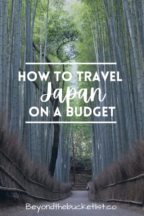 15 Tips For Visiting Japan on A Budget (How to Travel Cheap in Japan!) Japan On A Budget, Visiting Japan, Travel Cheap, Hong Kong Travel, Train Tickets, Bucket List Destinations, Visit Japan, Cheap Travel, Photo Op