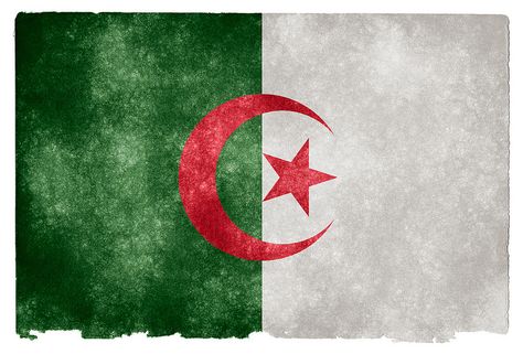 Algeria's Flag Algerian Flag, Algeria Flag, Iphone Logo, Iphone Price, Vintage Flag, Flag Signs, Flags Of The World, Iphone Photos, Pattern Iphone