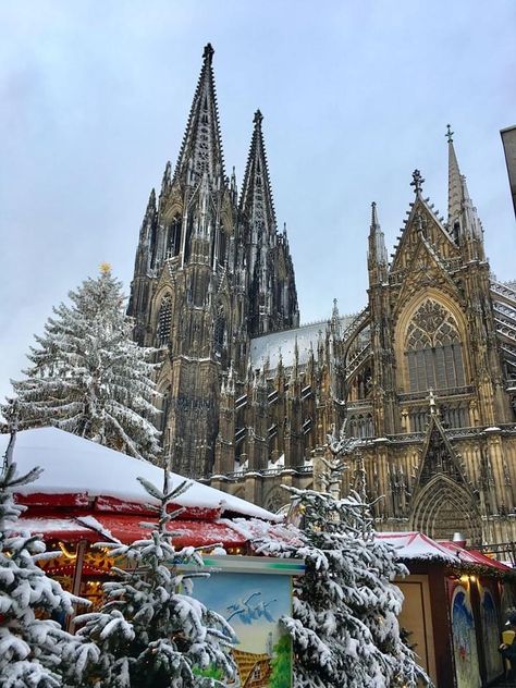 Germany Aesthetic Christmas, Germany Travel Winter, Christmas Market Cologne, Cologne Germany Christmas Market, Cologne Germany Christmas, Germany At Christmas, Christmas Market Germany, Germany Aesthetic Winter, Christmas Cathedral