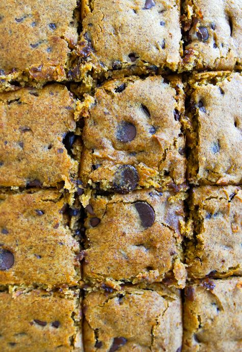 Gluten-Free Pumpkin Chocolate Chip Bars | Bake at 350° Gf Pumpkin Bars, Gluten Free Pumpkin Oatmeal Bars, Gluten Free Pumpkin Chocolate Chip Bread, Gf Pumpkin Bars Gluten Free, Gluten And Dairy Free Pumpkin Chocolate Chip Cookies, Gluten Free Chocolate Chip Pumpkin Cookies, Gluten Free Pumpkin Chocolate Chip Bars, Gluten Free Pumpkin Blondies, Pumpkin Chocolate Chip Cookies Gf