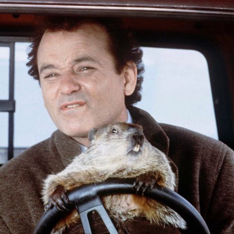 Happy Groundhog Day! Looks like we are going to have an early spring this year! Groundhog Day Movie, Drive Angry, Funniest Movies, Harold Ramis, Punxsutawney Phil, Happy Groundhog Day, Movies Of All Time, Bill Murray, Vintage Icons