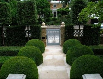 Boxwood Minimal Garden, Living Sculpture, Modern Gardens, Boxwood Garden, Front Walk, Front Gardens, Topiary Garden, French Rustic, Formal Garden