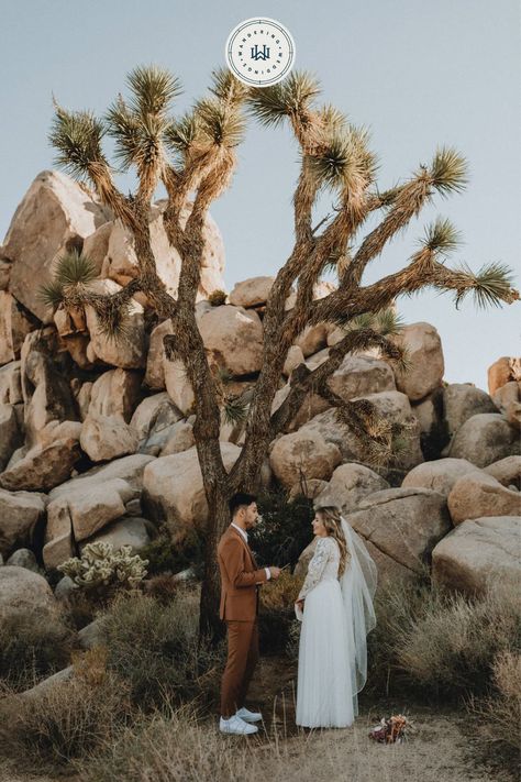 Get inspired by this Joshua Tree elopement at Quail Spring Picnic Area. Located in Southern California, Joshua Tree Natural Park is a great place for a boho elopement. Photo by Summit and Sur Photography. Joshua Tree Elopement Ideas, Boho Airbnb, Desert Ecosystem, Joshua Tree Elopement, Joshua Tree Wedding, Fun Moments, Intimate Elopement, Elopement Ceremony, Mini Wedding