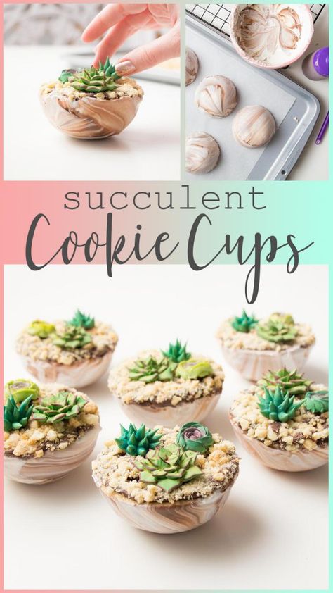 Icing Succulents, Succulent Cookies, Succulent Cake, Edible Cookies, Cookie Cups, Decorator Icing, Flower Cookies, Cookie Crumbs, Dessert Decoration