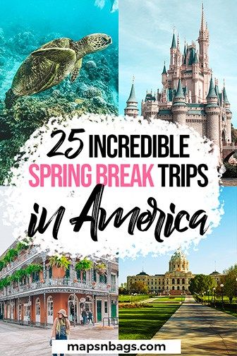 Spring Break Kids Ideas, Spring Break Kids Family Trips, Spring Break In Texas, Spring Break Places To Go, Texas Spring Break With Kids, Best Spring Break Destinations In The Us, Spring Break Ideas For Teens, Spring Break Destinations Usa, Cheap Spring Break Destinations