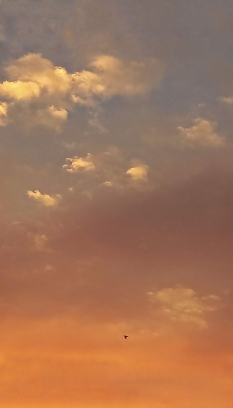 Sunrise Sunset Phone Background Wallpaper Gradient Sky Clouds Cloud Birds Bird Photography IPhone Samsung Sunrise Gradient, Wallpaper Gradient, Gradient Wallpaper, Phone Background Wallpaper, Photography Iphone, Wallpaper Samsung, Bird Wallpaper, Phone Background, Samsung Wallpaper