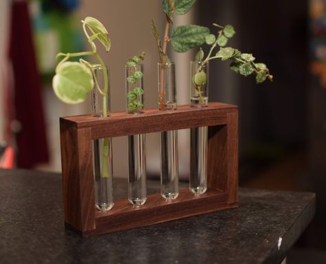 Solid Walnut propagation station for plant cuttings. Fake Plant Ideas, Plant Propagation Station, Succulent Display, Zebra Plant, Propagation Station, Plant Succulents, Cherry Hardwood, Plant Propagation, Test Tubes