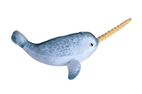 Wild Republic 23421 Soft Living Ocean Mini Narwhal, Cuddl... https://www.amazon.co.uk/dp/B07N1GDTXV/ref=cm_sw_r_pi_dp_U_x_lrWEDbDXCYTRJ Ocean 12, Arctic Habitat, Narwhal Plush, Toy Gifts, Cuddly Toy, Narwhal, Cute Stuffed Animals, Educational Toys For Kids, Animal Companions