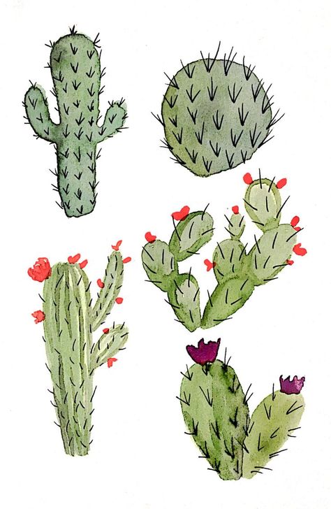 cactus prints | cactus art print printable cactus printable art cactus print succulent ... Watercolor Cacti, Cactus Prints, Cactus Paintings, Cactus Printable, Cactus Art Print, Cactus Tattoo, Cactus Drawing, Frida Art, Cactus Painting