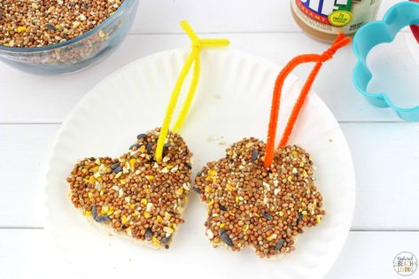 Easy Peanut Butter Bird Treats Kids Can Make - Natural Beach Living Bird Food Ornaments, Bird Food Recipes, Bird Seed Crafts, Bird Seed Ornaments Recipe, Bird Feeders For Kids To Make, Seed Ornaments, Seed Craft, Make A Bird Feeder, Bird Feeder Craft