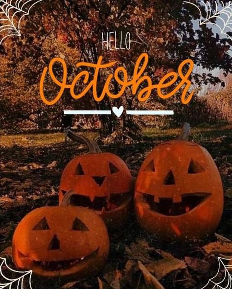 Hello October Images, October Country, October Wallpaper, Cute Backgrounds For Iphone, October Baby, Halloween Memes, Last Halloween, Halloween Traditions, Halloween Everyday