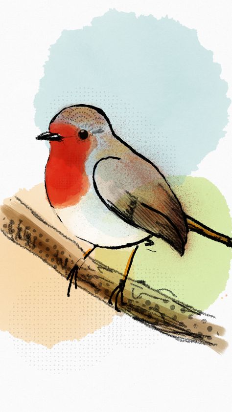 Easy Robin Drawing, How To Draw Robin, Robin Drawing Simple, Robins Bird, Robin Bird Drawing, Red Robin Drawing, Robin Line Drawing, Easy Robin Painting, Robin Bird Illustration